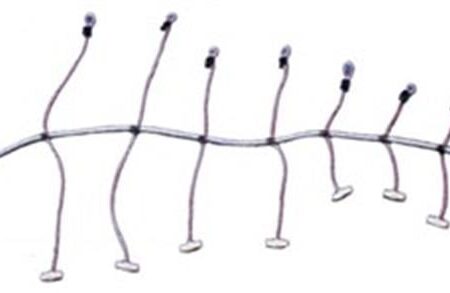 Yelken sarma lastiği (ahtapot) 8MMX200CM